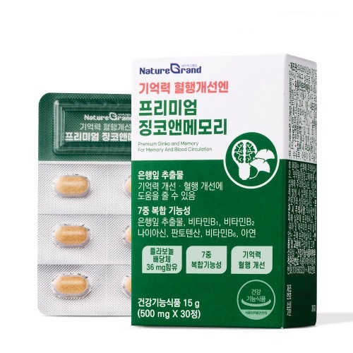기억력 혈행개선 엔 프리미엄 징코 앤 메모리