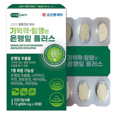 기억력 혈행엔 은행잎 플러스