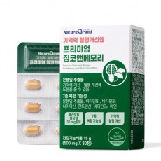 기억력 혈행개선 엔 프리미엄 징코 앤 메모리