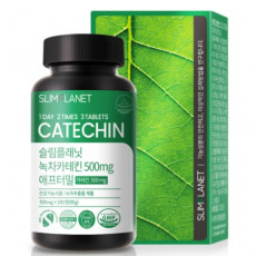 슬림플래닛 녹차카테킨 500mg 애프터밀