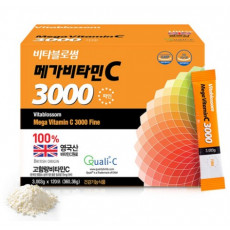 메가비타민C 3000