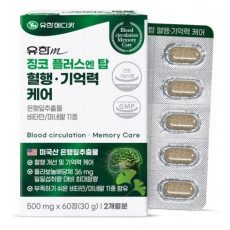 징코 플러스 엔 탑 혈행 기억력 케어