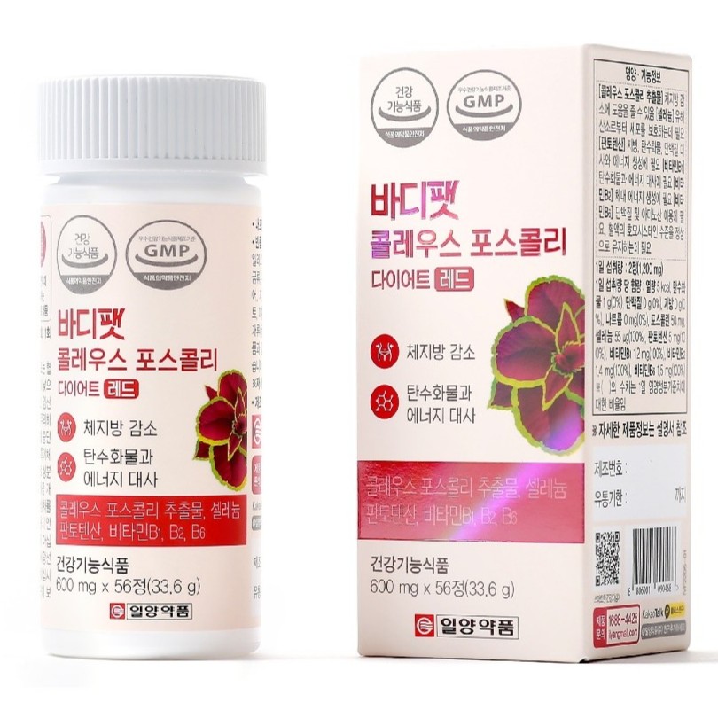 바디팻 콜레우스 포스콜리 다이어트레디