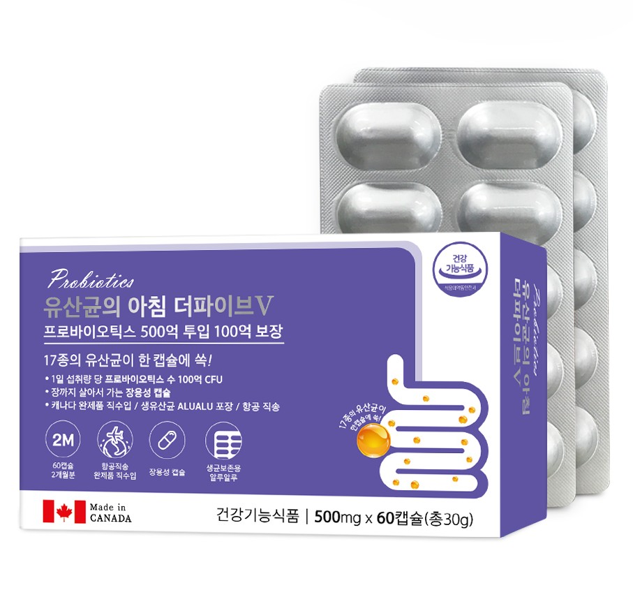 유산균의 아침 더파이브V