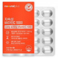 지속성 비타민C 1000