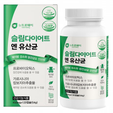 슬림다이어트 앤 유산균