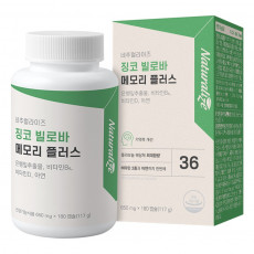 징코 빌로바 메모리 플러스