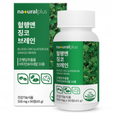 혈행앤 징코 브레인