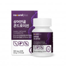 상어연골 콘드로이친